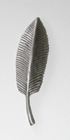 Palms:Coco Palm Frond screw cap (pewter finish)